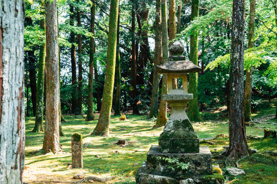 Traditional stone lantern with forest at Godaisan mountain Chikurin-ji temple in Kochi, Shikoku, Japan