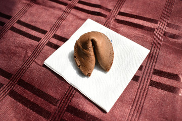 Brown Fortune Cookie 4