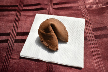 Brown Fortune Cookie 2