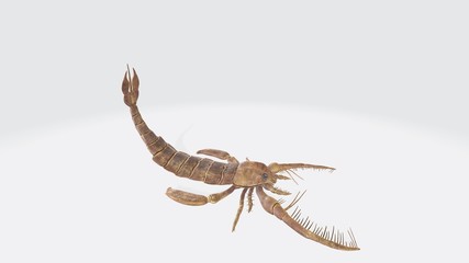 3d Illustration of Jaekelopterus. Paleo dinosaur Jaekelopterus. 