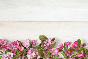 Pink flowers of a decorative apple tree on a light wooden table. Image for the design of congratulations, calendar on the theme of spring.