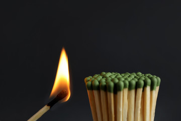 Burning match near unlit ones on dark background, closeup