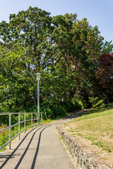 Pedestrian sidewalk in a park area with green plants trees bushes and lawn.