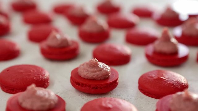 Close-up view of many rows of red opened halves with filling macarons macaroon on white background. Classical French dessert.