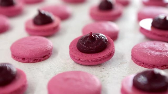 Close-up view of many rows of pink opened halves with filling macarons macaroon on white background. Classical French dessert.