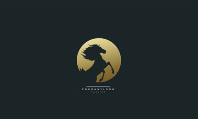 Vector linear icons and logo design elements - horse vector
