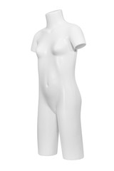 Gloss color mannequin woman isolated