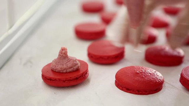 Process of making macaron macaroon, french dessert, squeezing the dough form cooking bag