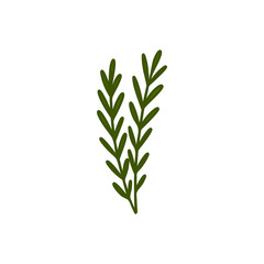 rosemary doodle icon, vector illustration