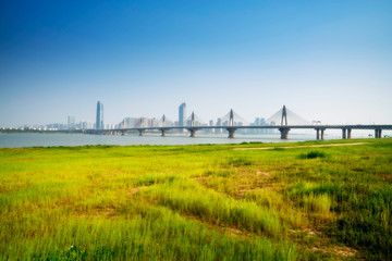 Fototapeta premium yangtze river cable stayed bridge