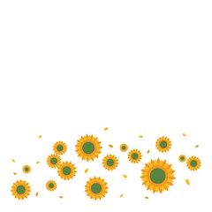 Sunflower background