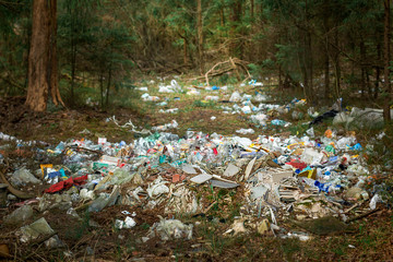 There is a lot of garbage in the forest. The concept of human pollution of forests and nature. A terrible dump in the woods.