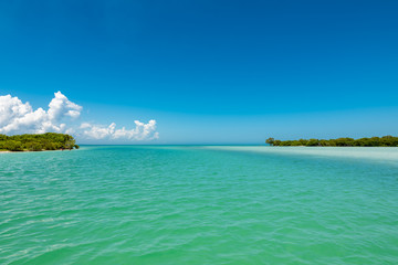 Tropical seascape in the 