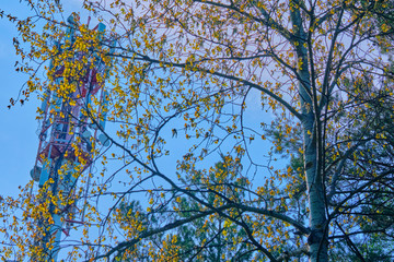 cell tower behind trees color