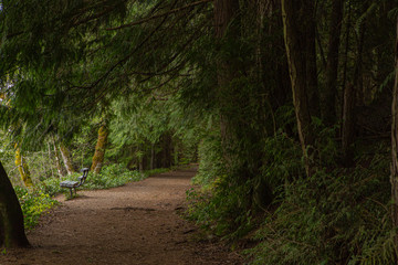 Fragment of Long Lake trail in Nanaimo, Vancouver, Canada.