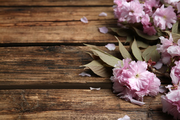 Sakura tree branch with beautiful blossom on wooden background, space for text. Japanese cherry