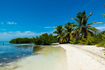 Tropical beach in Contoy island (Quintana Roo, Mexico).