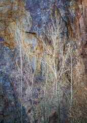 The textures and colors of a stone quarry wall in the Narrows area of Wisconsin.