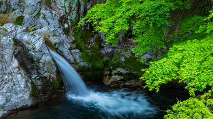 花貫渓谷　汐見滝　新緑 © Yuuki Kobayashi