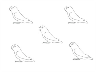 Black and white vector set of birds in cartoon style.