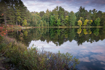 Dusk on the shoreline of a secluded northwoods lake in Villas County, Wisconsin