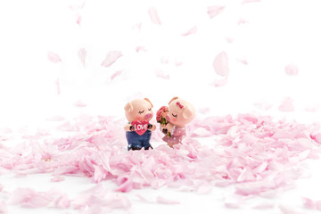 Two little pig dolls in the petals of cherry blossoms