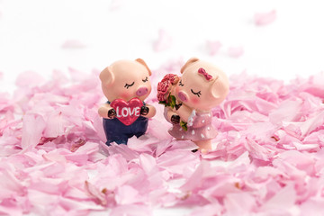 Two little pig dolls in the petals of cherry blossoms