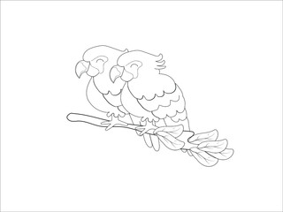 Bird sketches on white background.