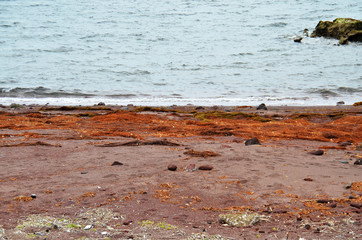 長崎五島・小値賀 船瀬海水浴場の赤土浜