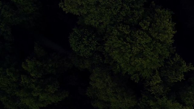 Munich - Englischer Garten dronevideo: Swipe up from a tree to the horizon with the view at the Chinese tower, the popular Frauenkirche and the Monopteros.