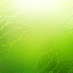 Green leaves subtle pattern on blur background. Abstract natural decorative illustration.