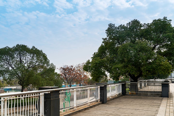 Obraz premium Sydney city building and park