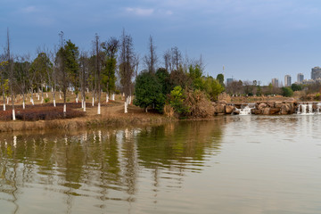 Obraz premium Beautiful forest lake in the autumn day