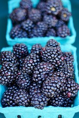 blackberries
