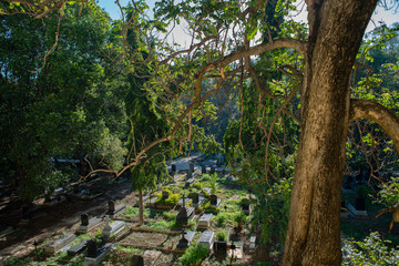 Birds eye view of cemetary 