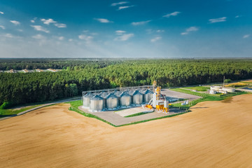 Granary in a field in spring near the forest. Beautiful landscape with a grain elevator in an agricultural field. Aerial view
