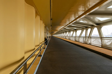 Bridge, pedestrians and non-motorized vehicle lanes