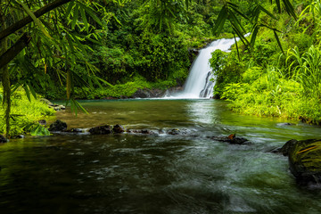 Waterfall landscape. Beautiful hidden Canging waterfall in tropical jungle in Sambangan, Bali. Slow shutter speed, motion photography.