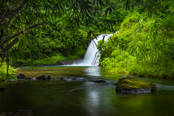 Waterfall landscape. Beautiful hidden Canging waterfall in tropical jungle in Sambangan, Bali. Slow shutter speed, motion photography.