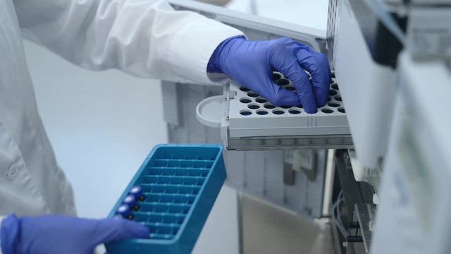 scientist hand putting test tubes ampoules bottles in pcr machine Spbas. dna test, molecular biology technology. concept examining, diagnostics, pharmaceutical laboratory