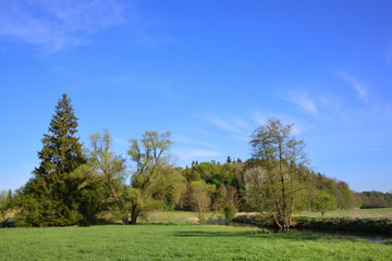 Fototapeta na wymiar Quiet landscape by the river in spring with delicate meadows and trees against a blue sky in Bavaria / Germany