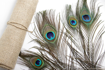 Picture of peacock's (male peafowl) feather that have an unique eyes shape pattern 