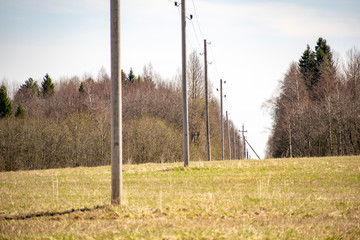 Power poles lined up in a field.