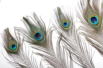 Fototapeta premium Picture of peacock's (male peafowl) feather that have an unique eyes shape pattern 