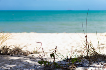sitting in the shade looking out at the ocean 