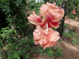 NATURE AND ITS BEAUTY