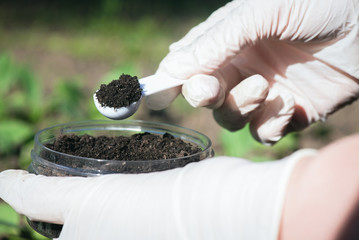 Soil science concept. A scientist is taking a sample of soil close up.