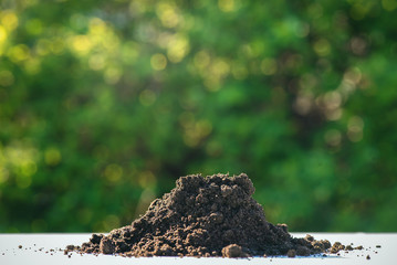 Soil on the table close up on green natural background.
