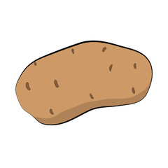 Illustration of a fresh potato isolated on a white background. Vegetables for the kitchen from the garden. Organic vegetables for a healthy diet.