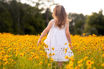 Fototapeta na wymiar Little toddler girl in a white dress walking and picking flowers in a black eye Susan flower field. Child in a flower meadow at sunset with yellow flowers. 